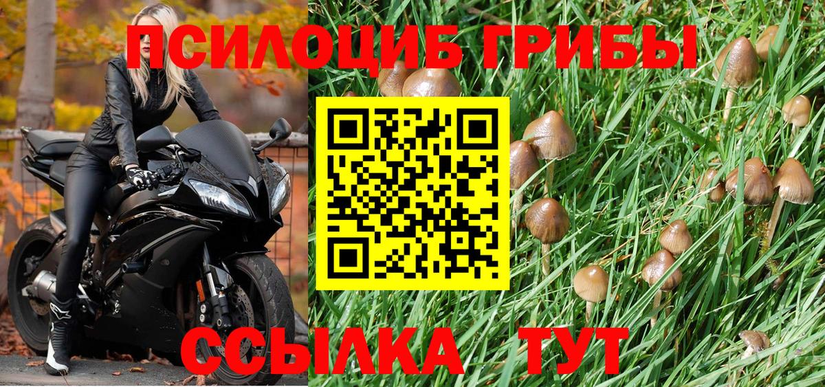 Кандалакша  Псилоцибиновые грибы MAGIC MUSHROOMS  Галлюциногенные грибы мицелий  Вход с VPN 